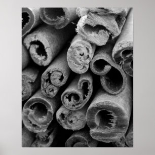 Cinnamon Sticks Poster