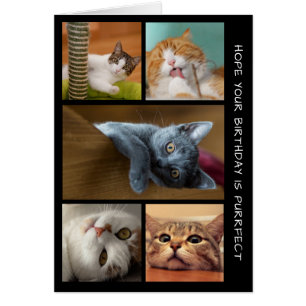 Cinq photo CAT Anniversaire Collage Carte Annivers