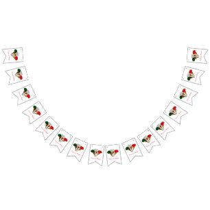 Cinqo de Mayo Bunting Flags