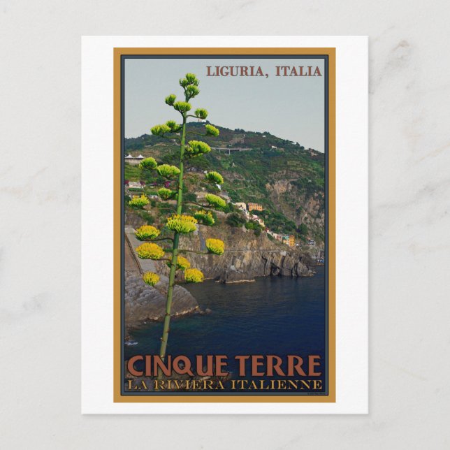 Cinque Terre - Century Plant Postcard (Front)