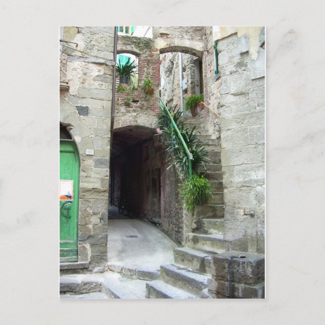 Cinque Terre (Corniglia Street) Postcard (Front)