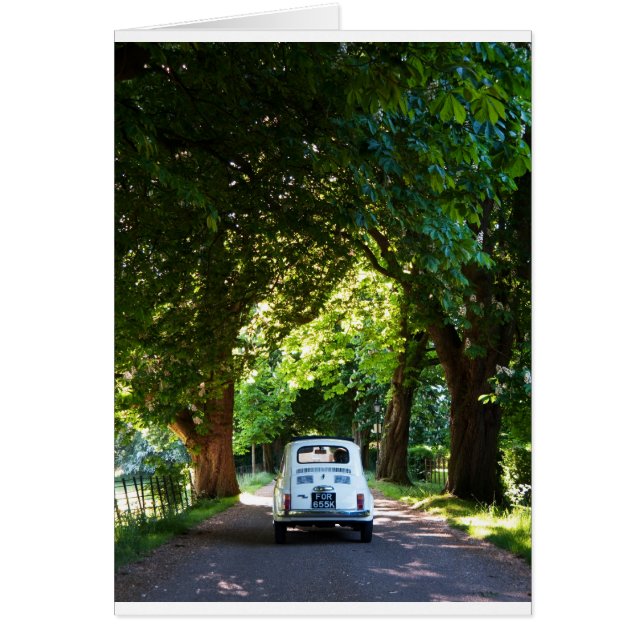 Cinquecento Fiat 500 (Front)