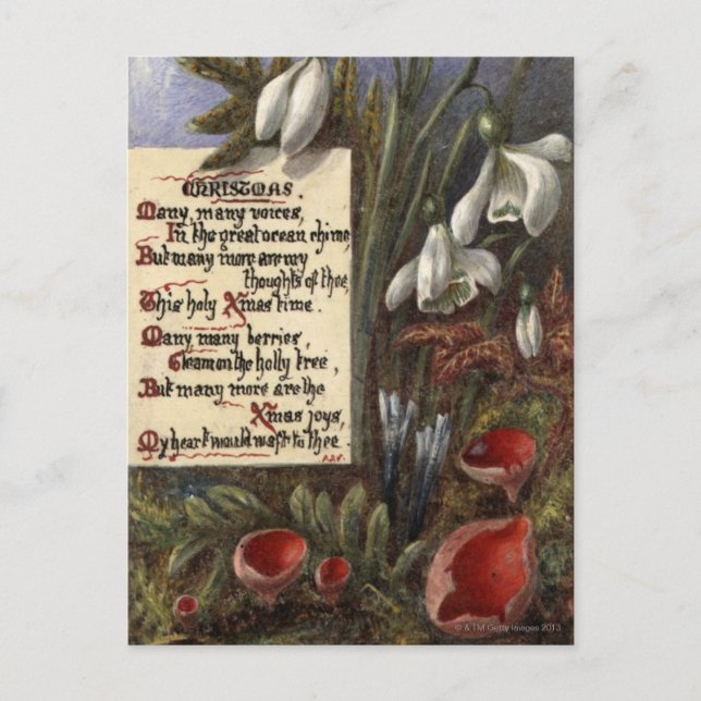 Circa 1890: Snowdrops Postcard (Front)
