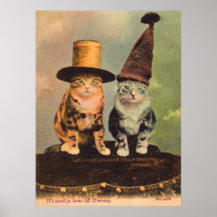 circa 1900 cats in hats RPPC Poster