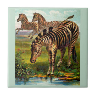 circa 1900 zebras print tile