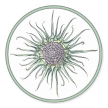 Circle and Thistle Flower Round Sticker