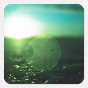 Circle in Square - medium format analog Hasselblad Sticker