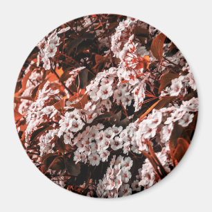 Circle magnet