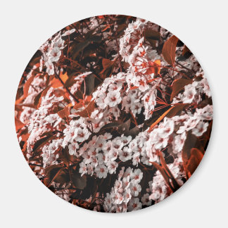 Circle magnet