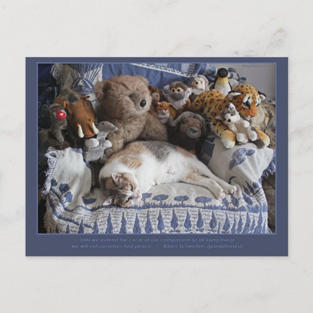 "Circle of Compassion" Miriam Kilmer risingdove Holiday Postcard (Front)