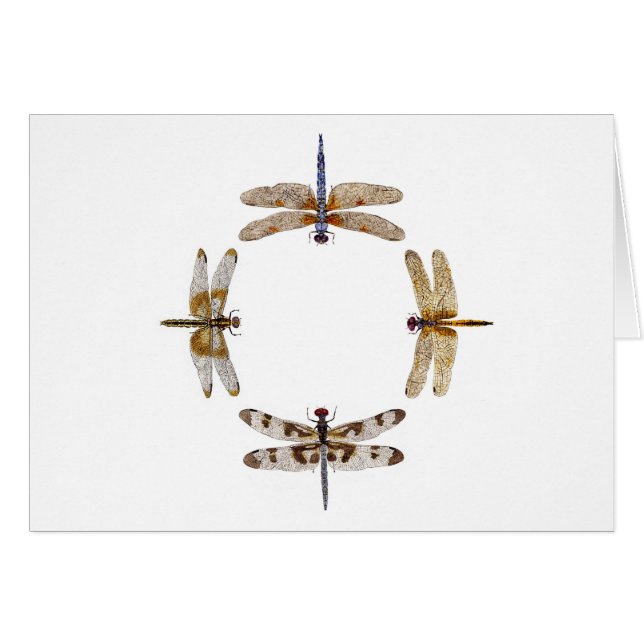 Circle of Dragonflies (Front Horizontal)