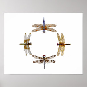 Circle Of Dragonflies Poster III