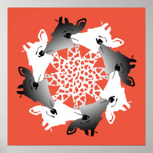 circle of giraffes poster