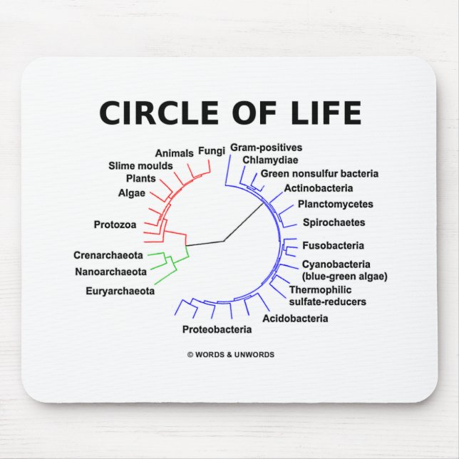 Circle Of Life (Circular Phylogenetic Tree) Mouse Pad (Front)