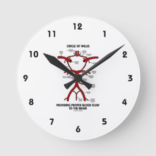 Circle Of Willis Providing Proper Blood Flow Brain Round Clock