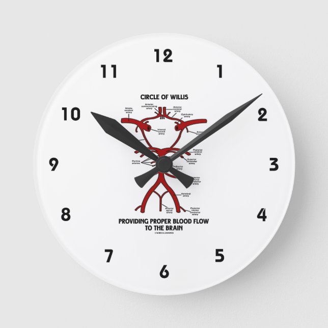 Circle Of Willis Providing Proper Blood Flow Brain Round Clock (Front)