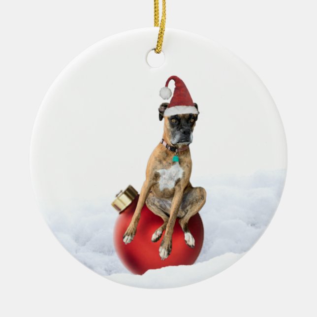 Circle ornament boxer (Front)