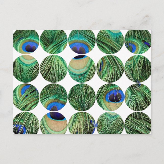 Circle Photo Postcard (Front)