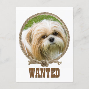 Circle rope frame western design postcard