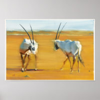 Circling Arabian Oryx 2010