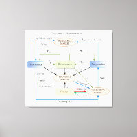 Circulation Diagram in Macroeconomics