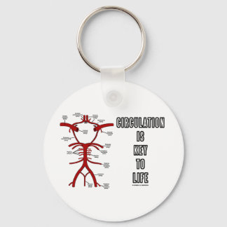 Circulation Is Key To Life (Circle Of Willis) Keychain