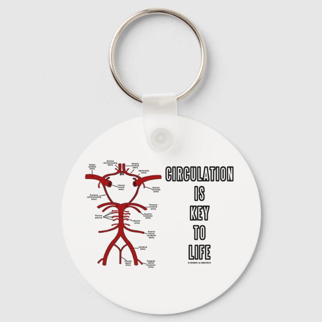 Circulation Is Key To Life (Circle Of Willis) Keychain (Front)
