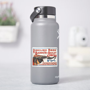 Circus  5 Big Herds of Performing Elephants