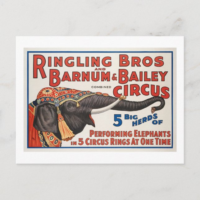 Circus  5 Big Herds of Performing Elephants Postcard (Front)