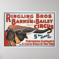 Circus 5 Big Herds of Performing Elephants