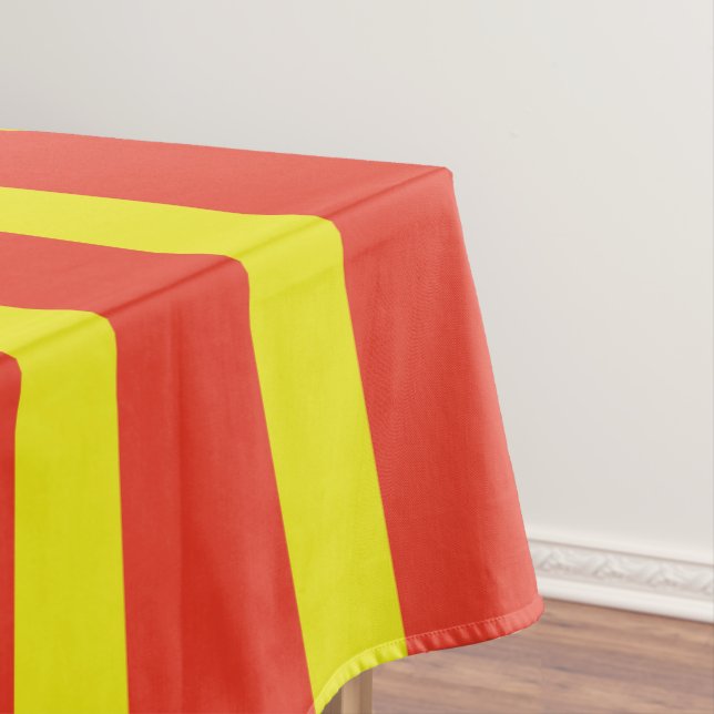 Circus Birthday Party Tablecloth (In Situ)
