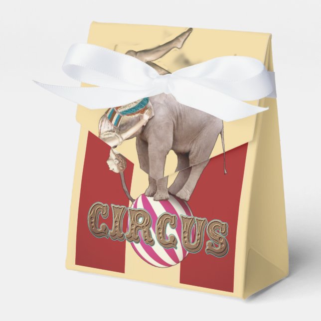 Circus Carnival Favour Box (Front Side)