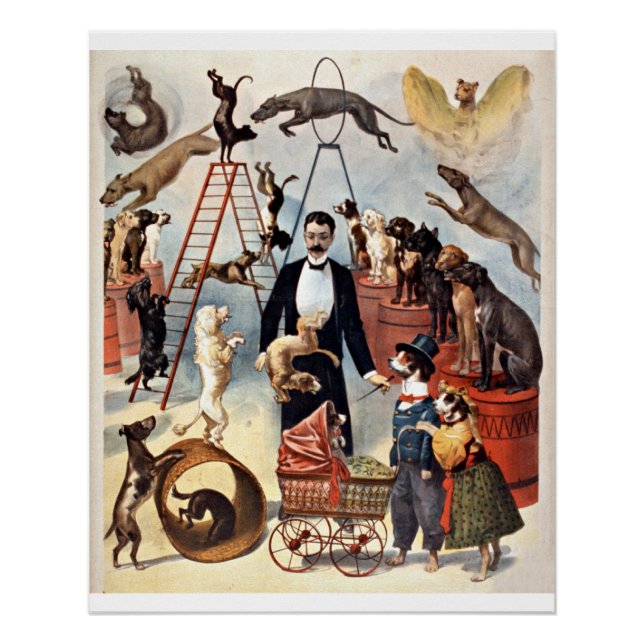 Circus Dogs, vintage illustration, Poster (Front)