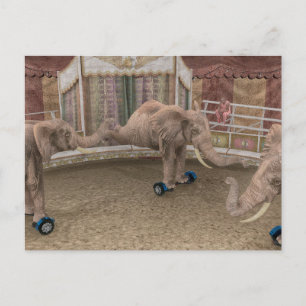 Circus Elephants Holiday Postcard
