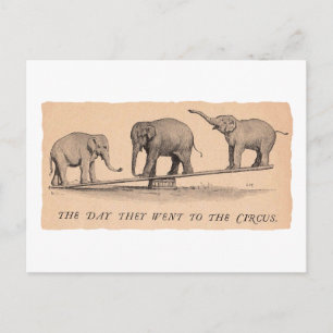 circus elephants postcard