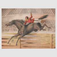Circus horse and daredevil flying over a fence