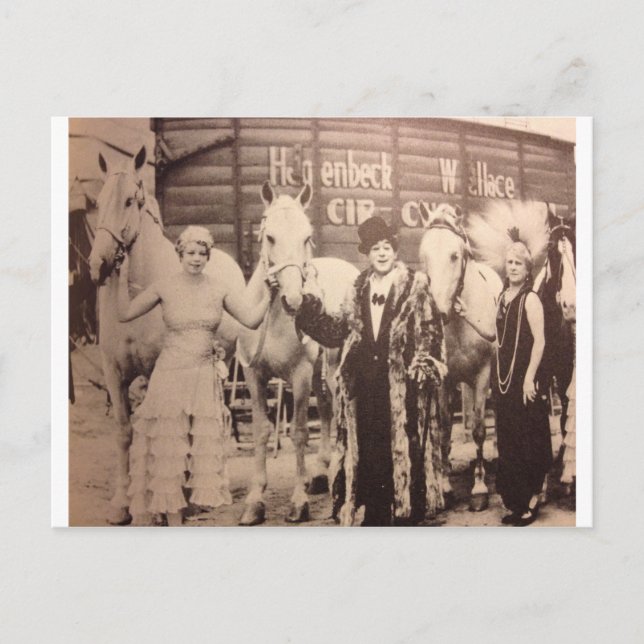Circus Performers and White Horses Postcard (Front)