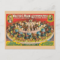 Circus Poster Of 63 Performing Horses In One Ring