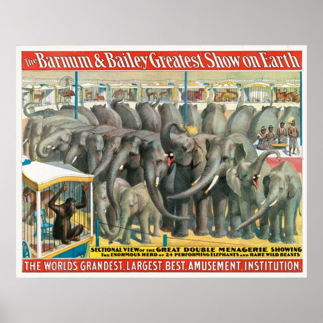 Circus Poster Of Elephants And Animals In Cages (Front)