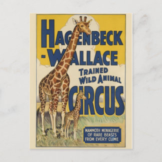 Circus Poster Postcard
