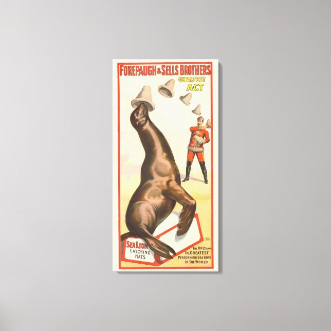 Circus Poster Showing A Sea Lion Catching Hats Canvas Print (Front)