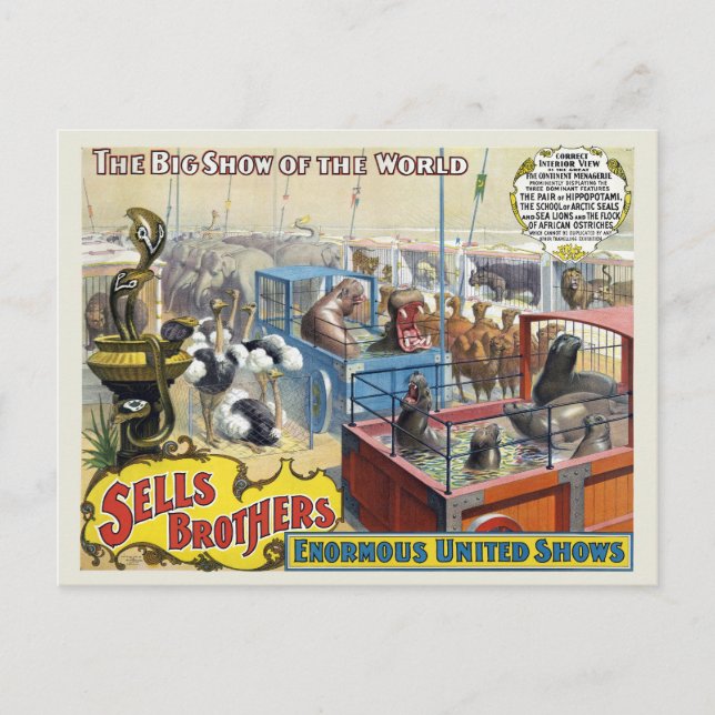 Circus Poster Showing Wild Animals In Cages Postcard (Front)