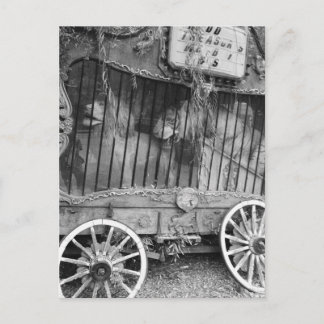Circus Wagon Postcard