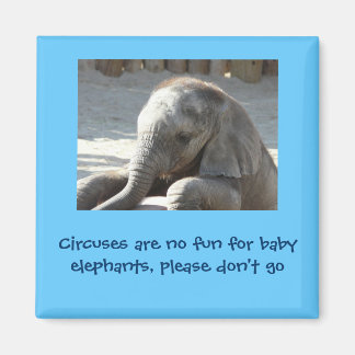 Circuses are no fun for baby elephants magnet