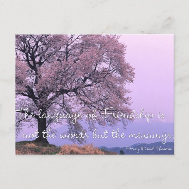 Citation d'amitié 1 - Cartes postales de l'arbre d (Devant)