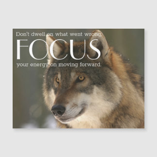Citation de focus sur Wolf Image Magnet inspiratio