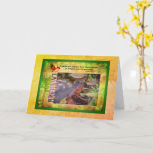 Citation de la résistance de la tortue Carte d'ins