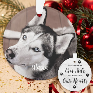 Citation de perte pour animaux - Photo de chien pe