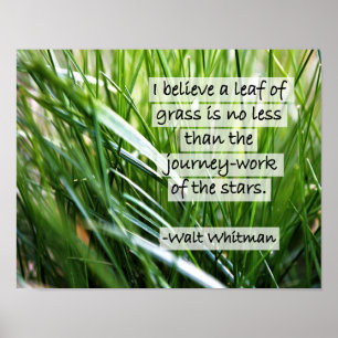 Citation de Walt Whitman - Poster