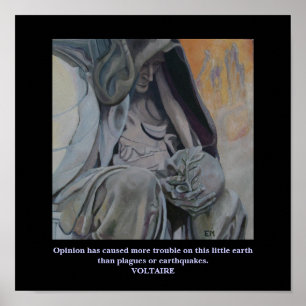 Citation Voltaire - Poster